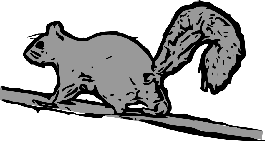 Clipart squirrel line art. Panda free images clip