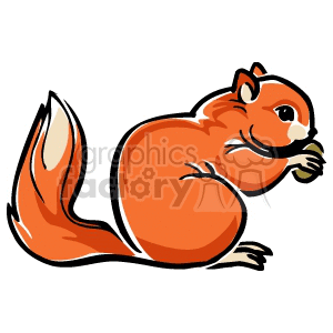 clipart squirrel nut