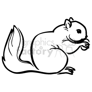 clipart squirrel outline