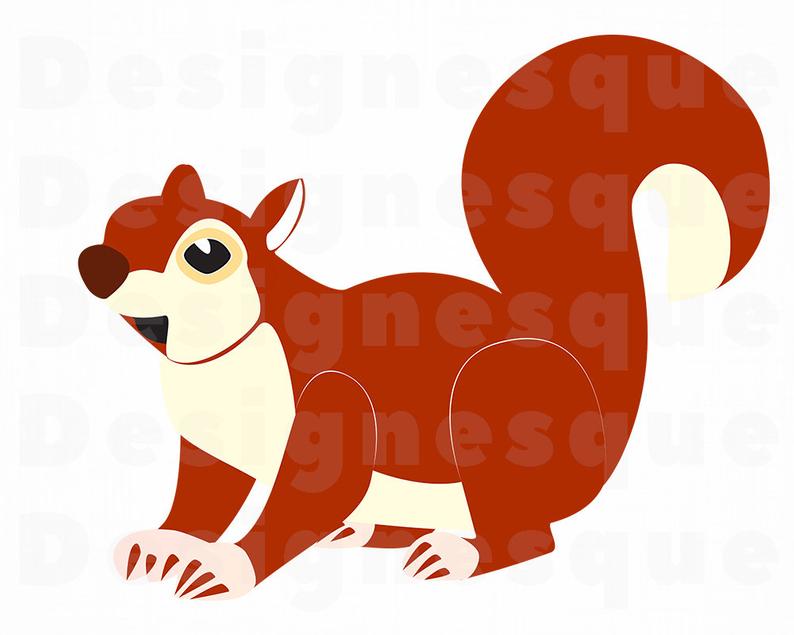 clipart squirrel real