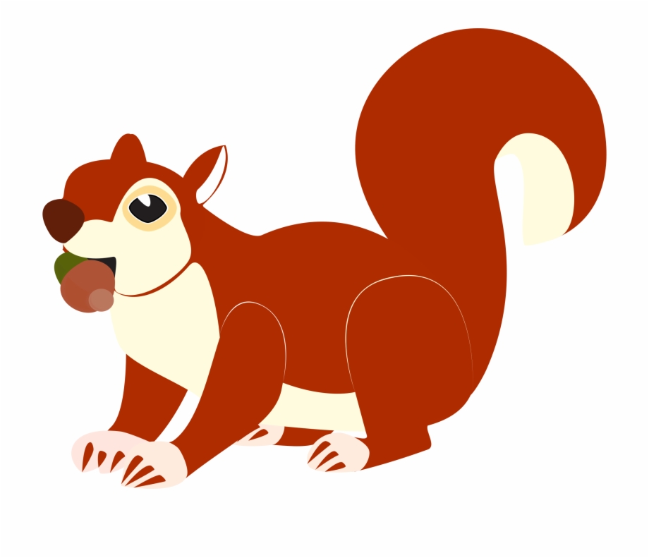clipart squirrel red squirrel