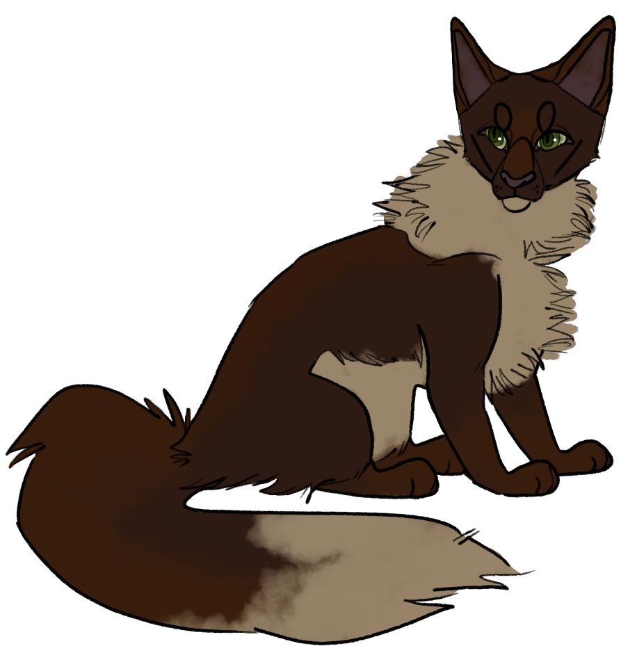 clipart squirrel scarce