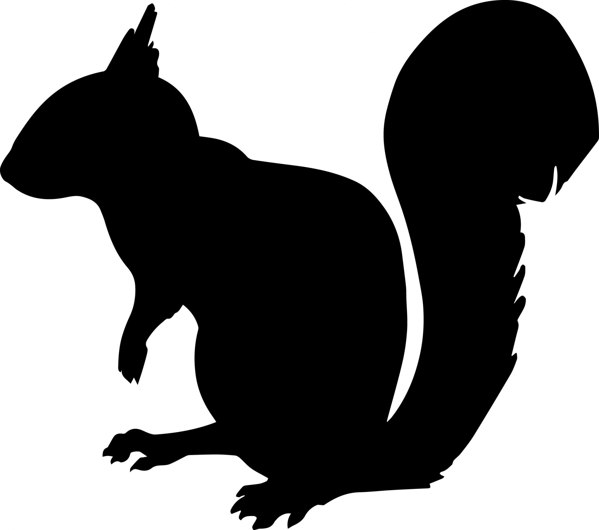 Silhouette stencils and templates. Clipart squirrel shadow