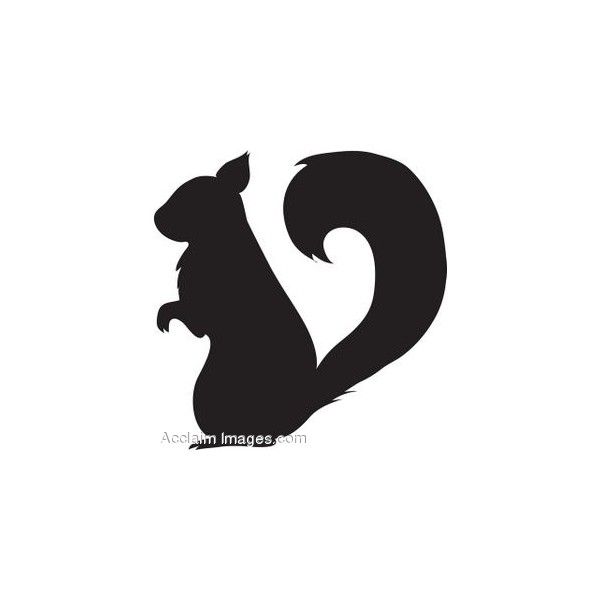 Clipart squirrel shadow. Clip art of a