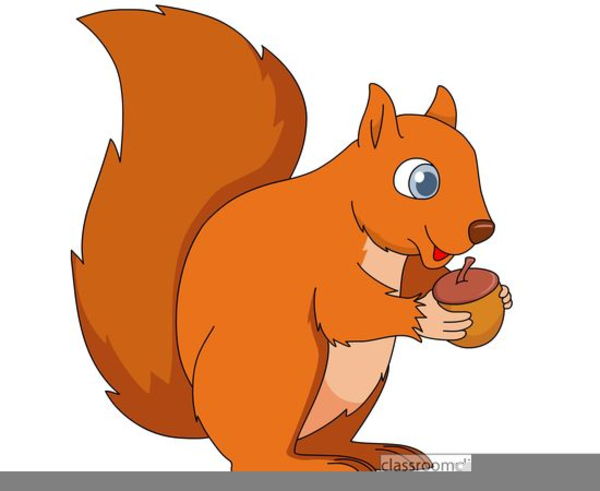 Acorns squirrels free images. Clipart squirrel small squirrel