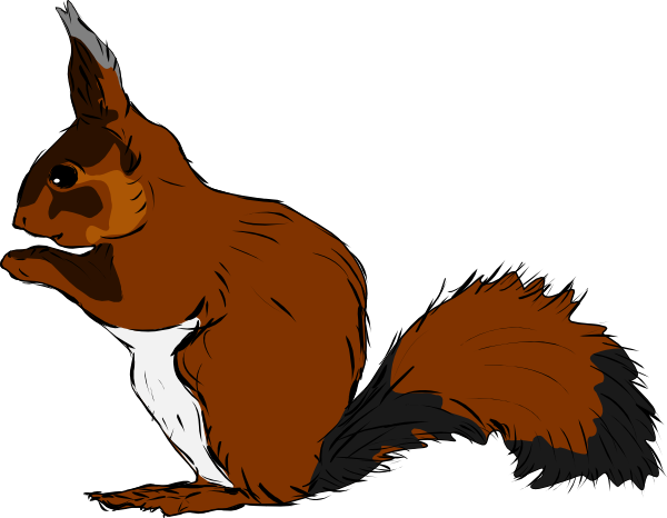 clipart squirrel small squirrel