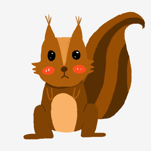 clipart squirrel small squirrel