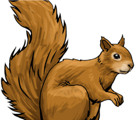 Clipart squirrel soulmates. Download hd free clip