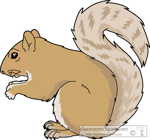 clipart squirrel squirrel tail