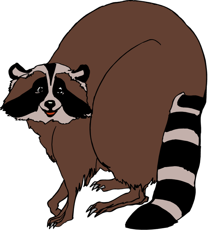 Simple pencil and in. Racoon clipart handsome
