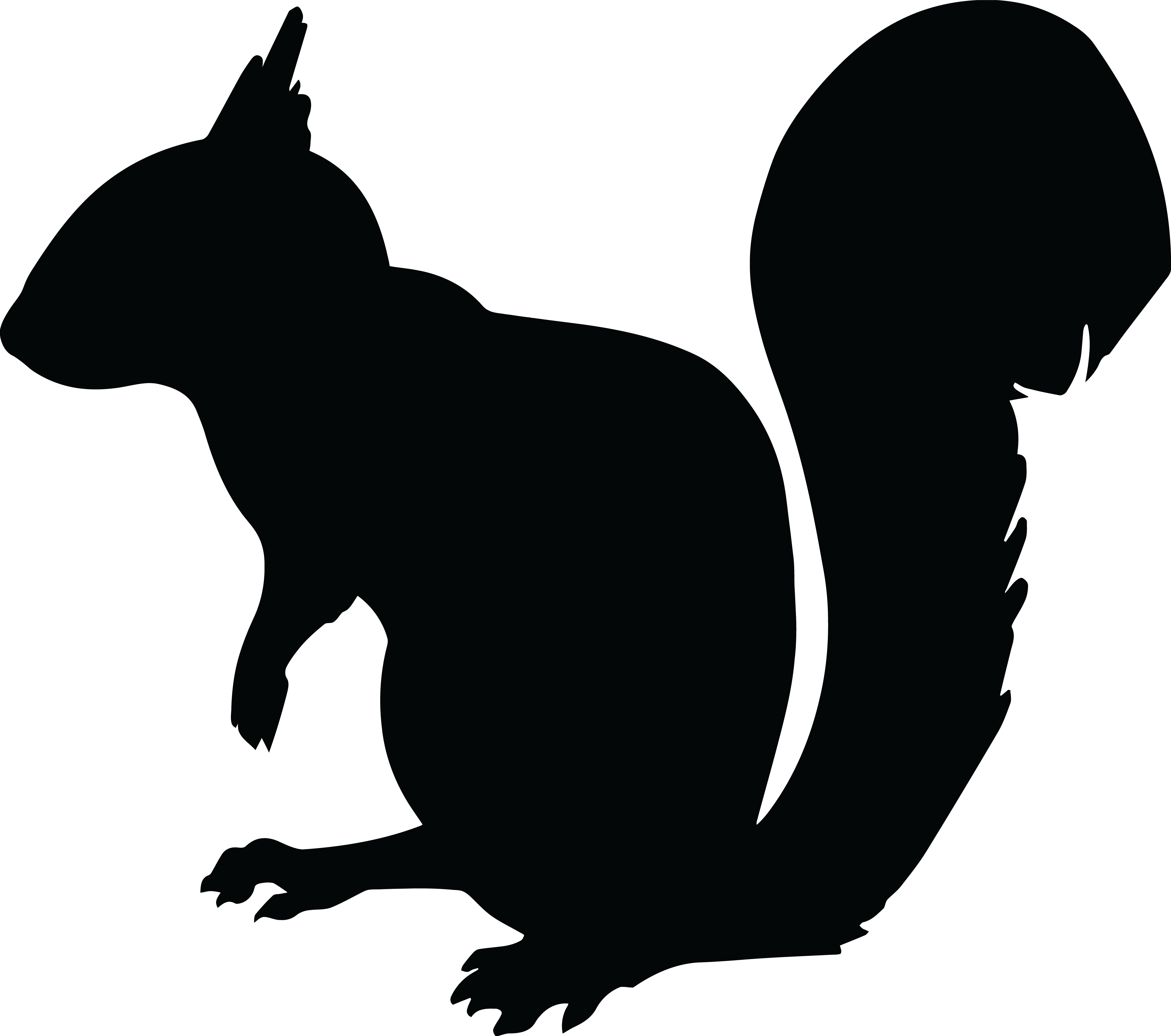 Network silhouette at getdrawings. Clipart squirrel track