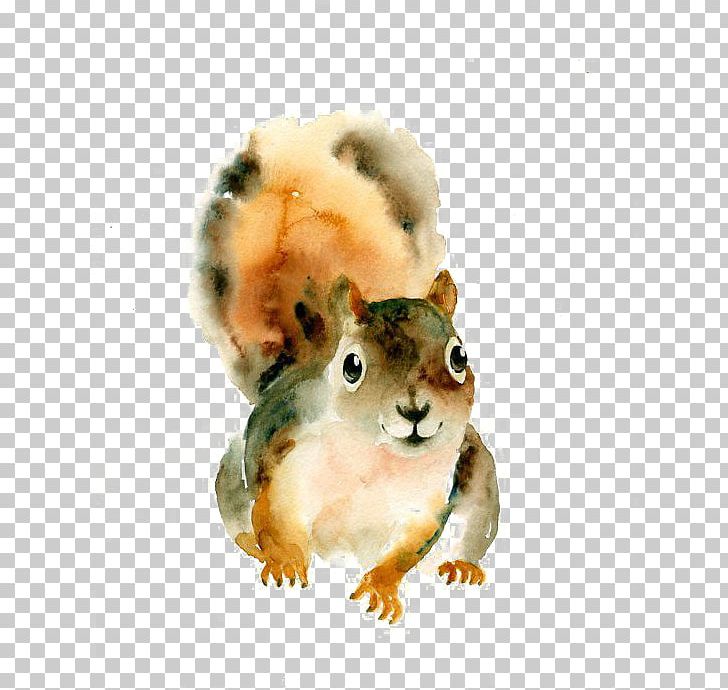 clipart squirrel watercolor