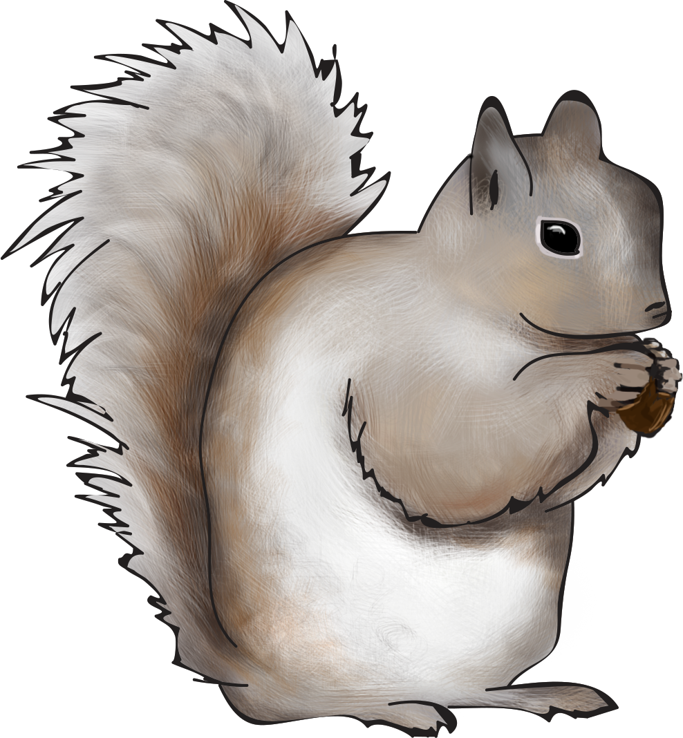 Buncee fact of the. Clipart squirrel winter