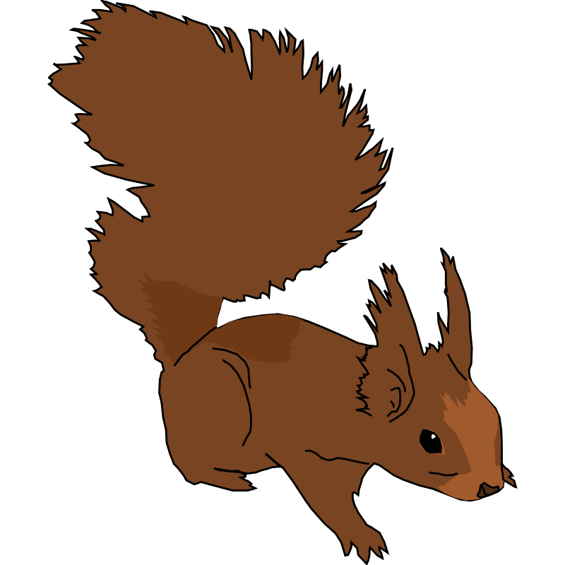 clipart squirrel xerus