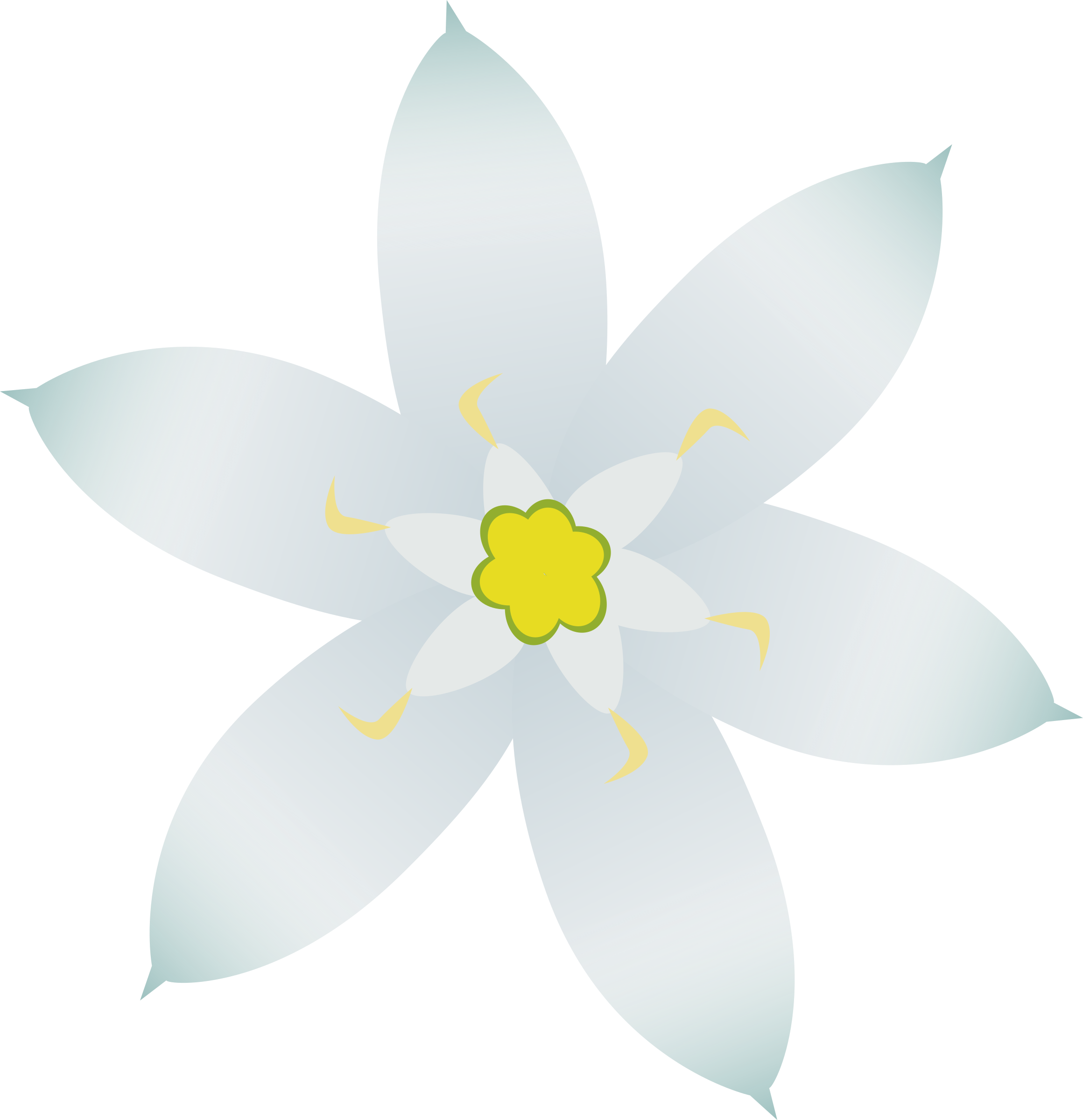 clipart star flower