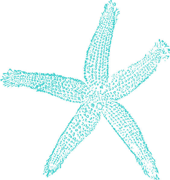 Clipart star turquoise. Starfish clip art at