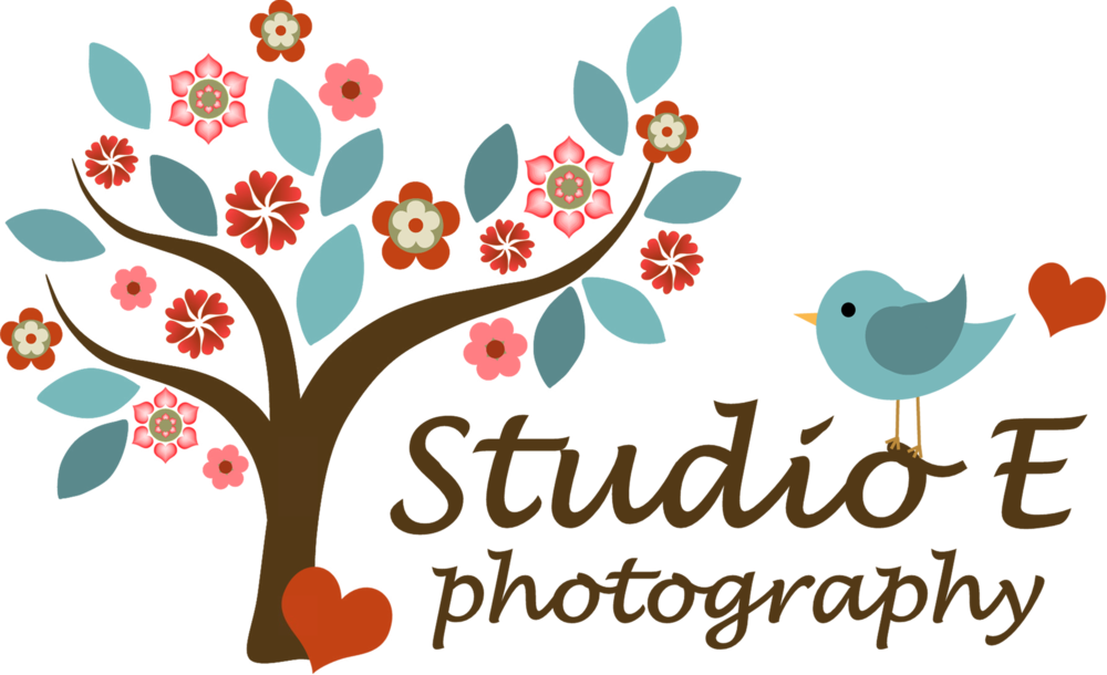 Senior portraits e photography. Clipart studio photo session