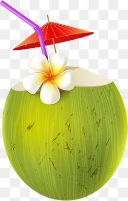 coconut clipart summer