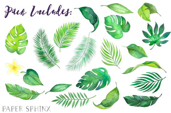 leaves clipart summer