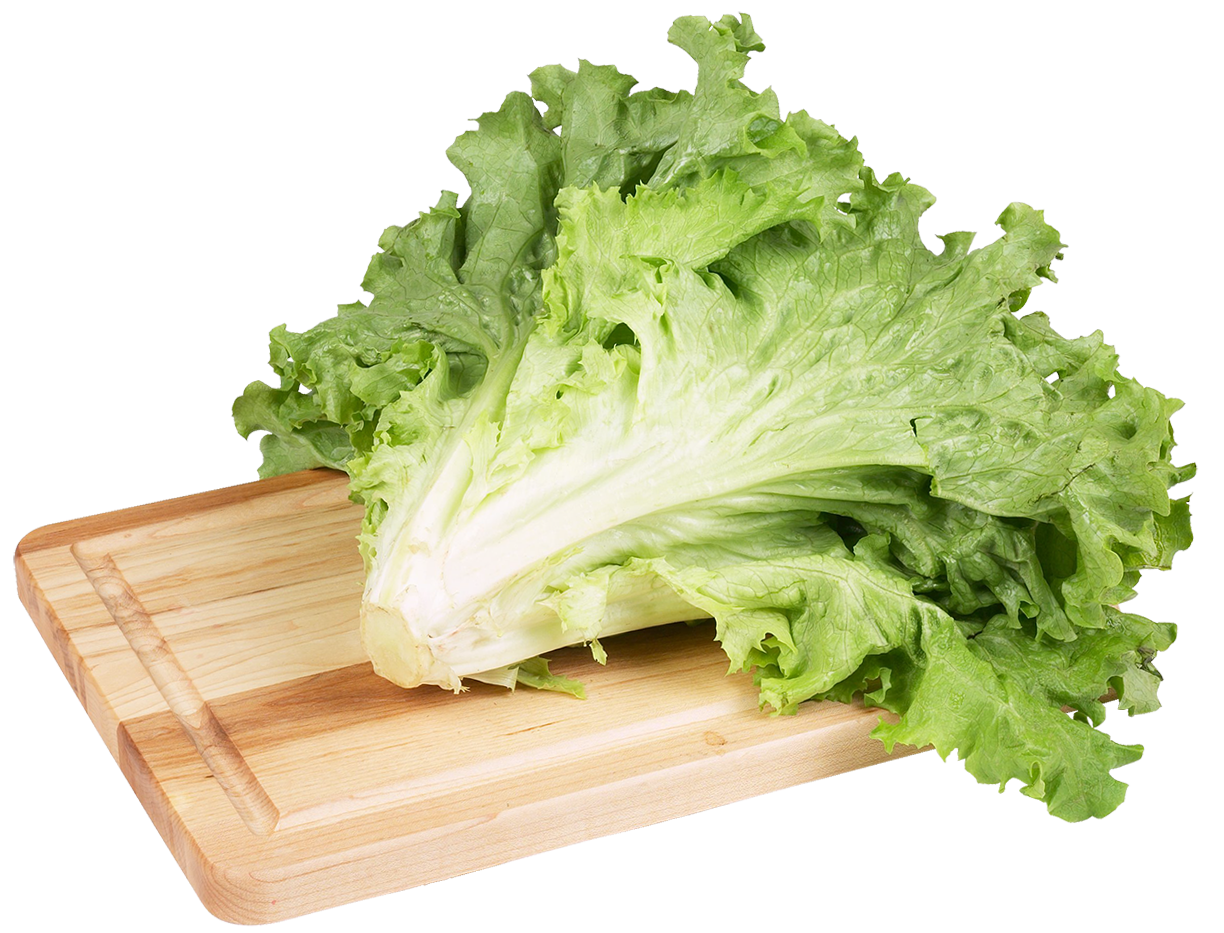 Green lettuce png clip. Vegetables clipart salad vegetable