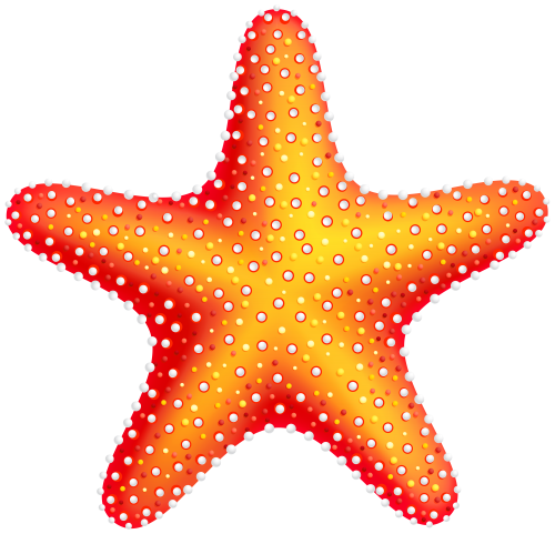 Png clip art best. Starfish clipart summer