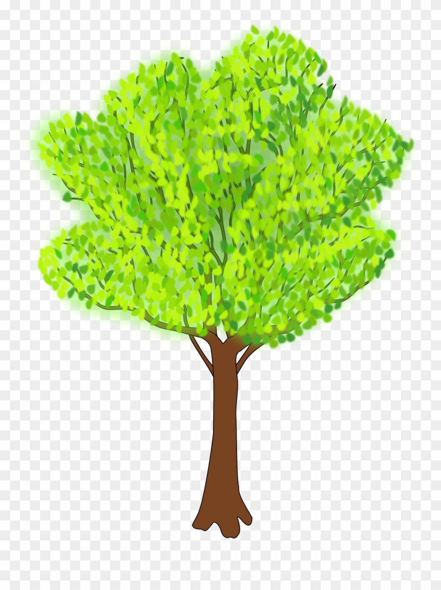 clipart trees summer season