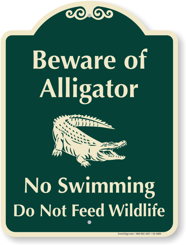 clipart swimming alligator