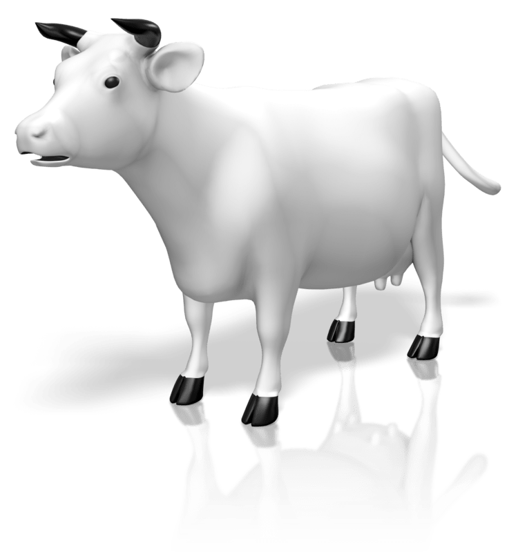 clipart swimming cow