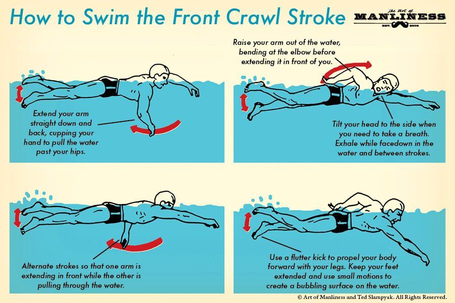 clipart swimming front crawl