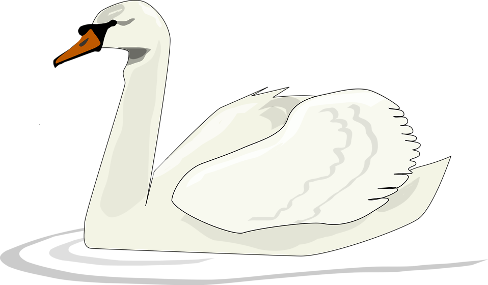 clipart swimming goose