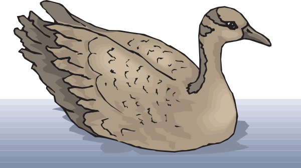 goose clipart swimming