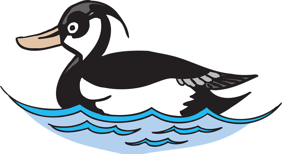 clipart swimming goose