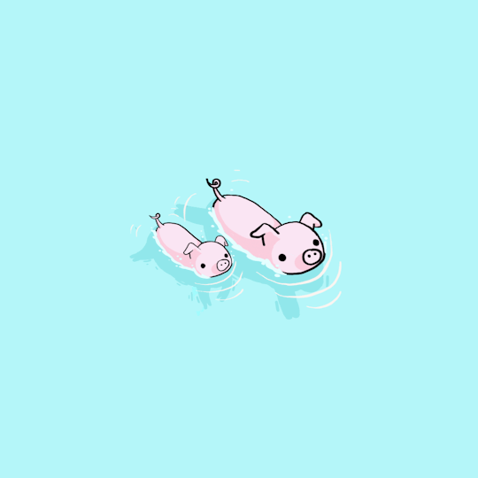 pig clipart swimming