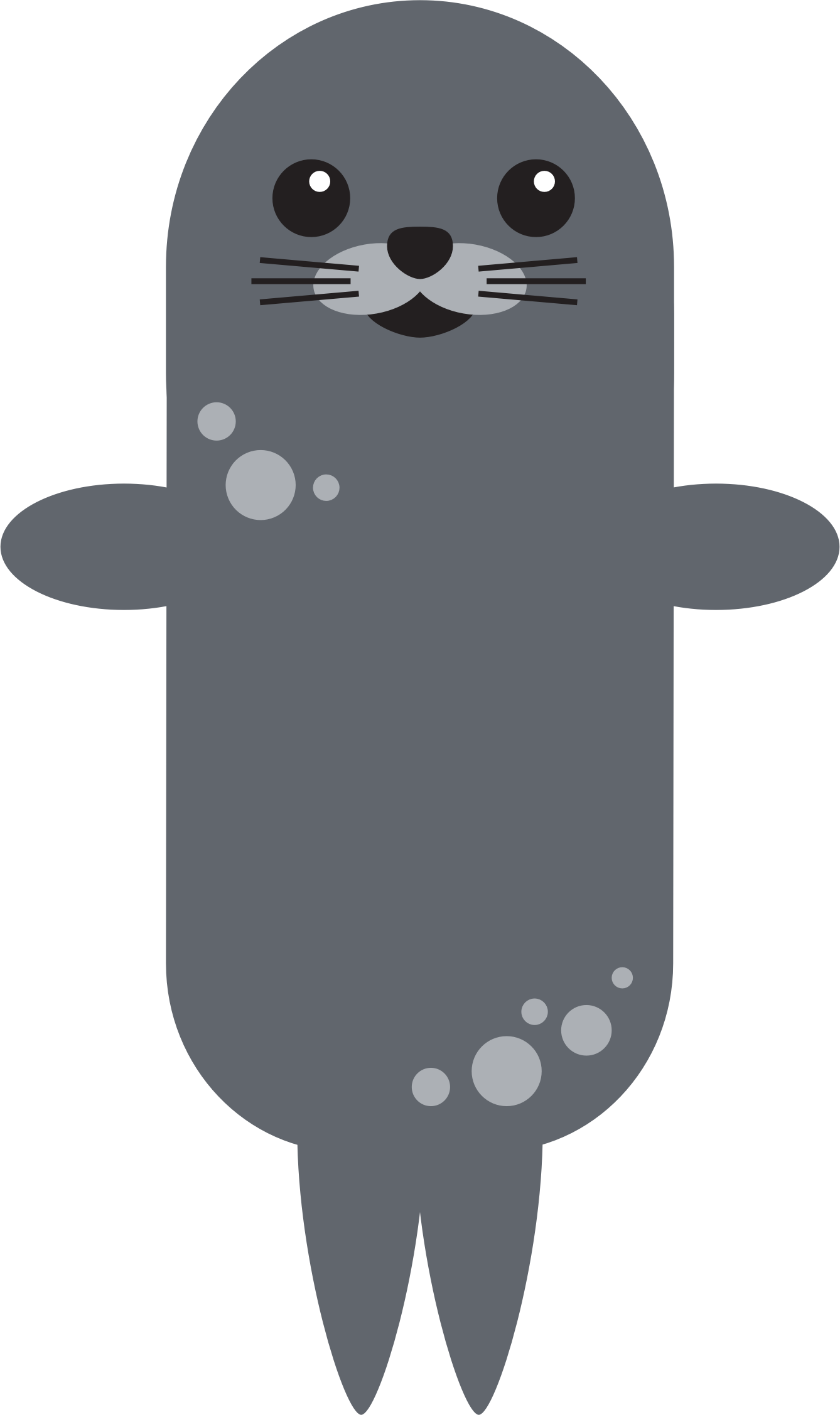 seal clipart harbor seal