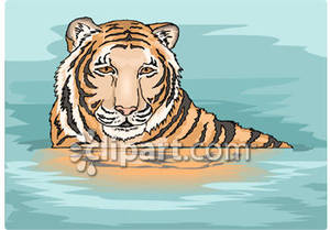 clipart swimming tiger