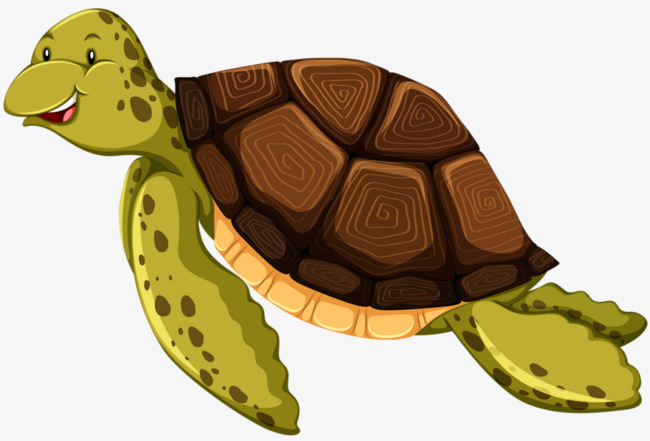 clipart swimming tortoise