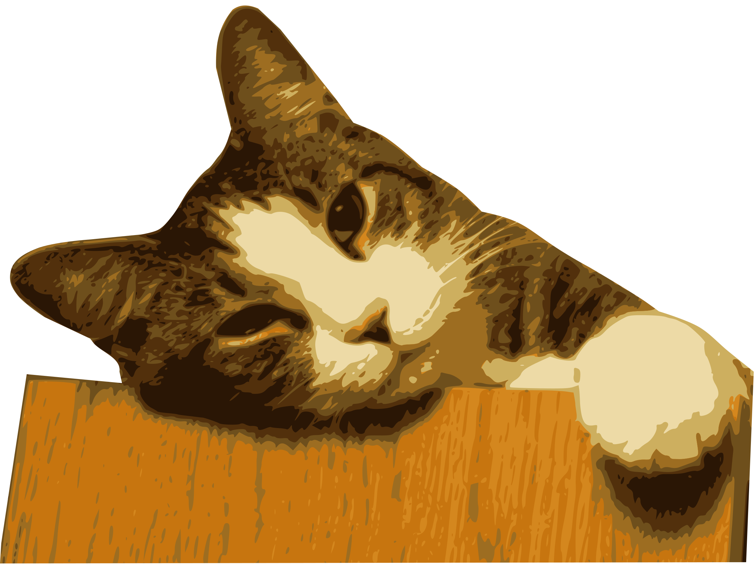 clipart table cat