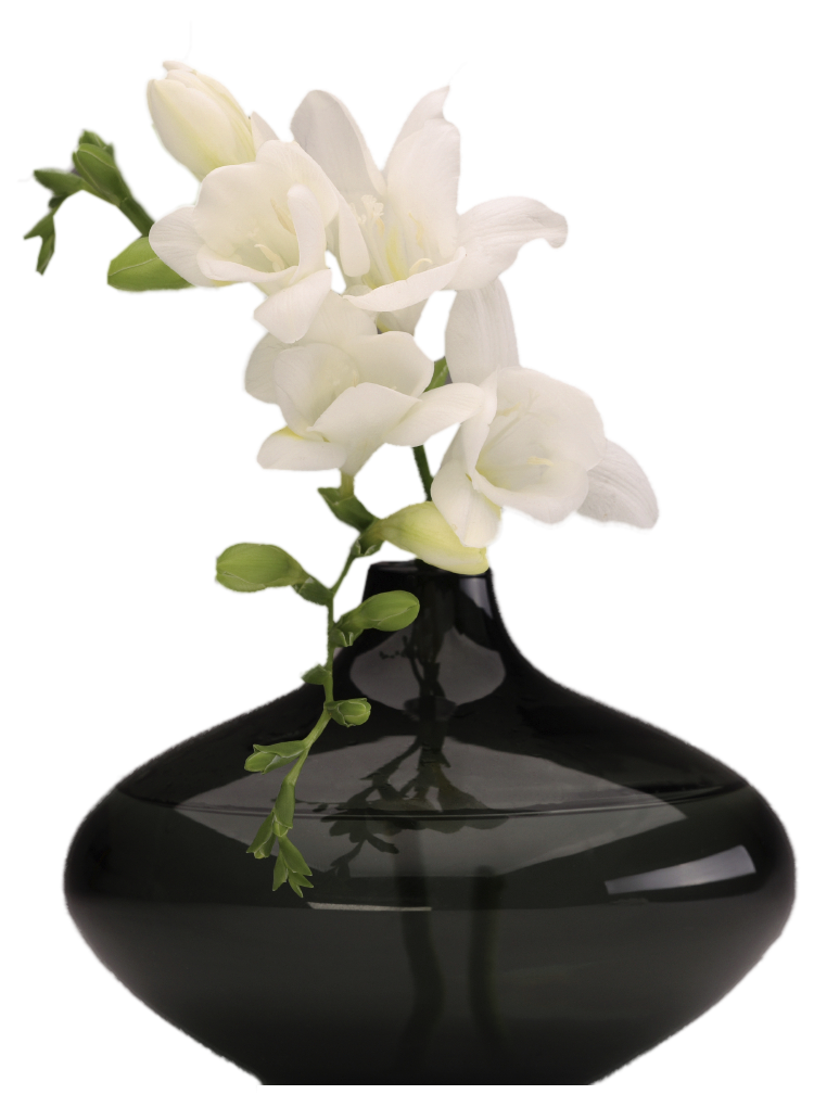Vase clipart two flower. Black with white orchids