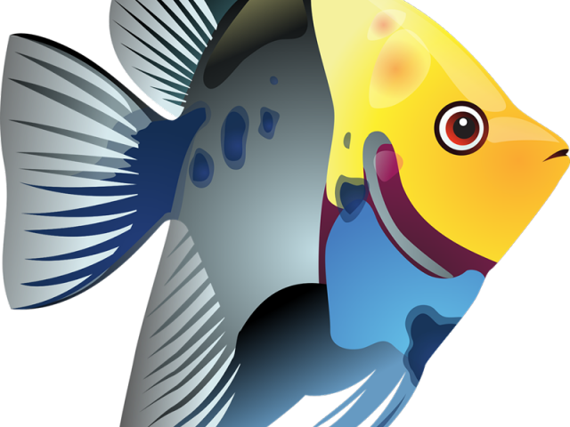 clipart teacher fish