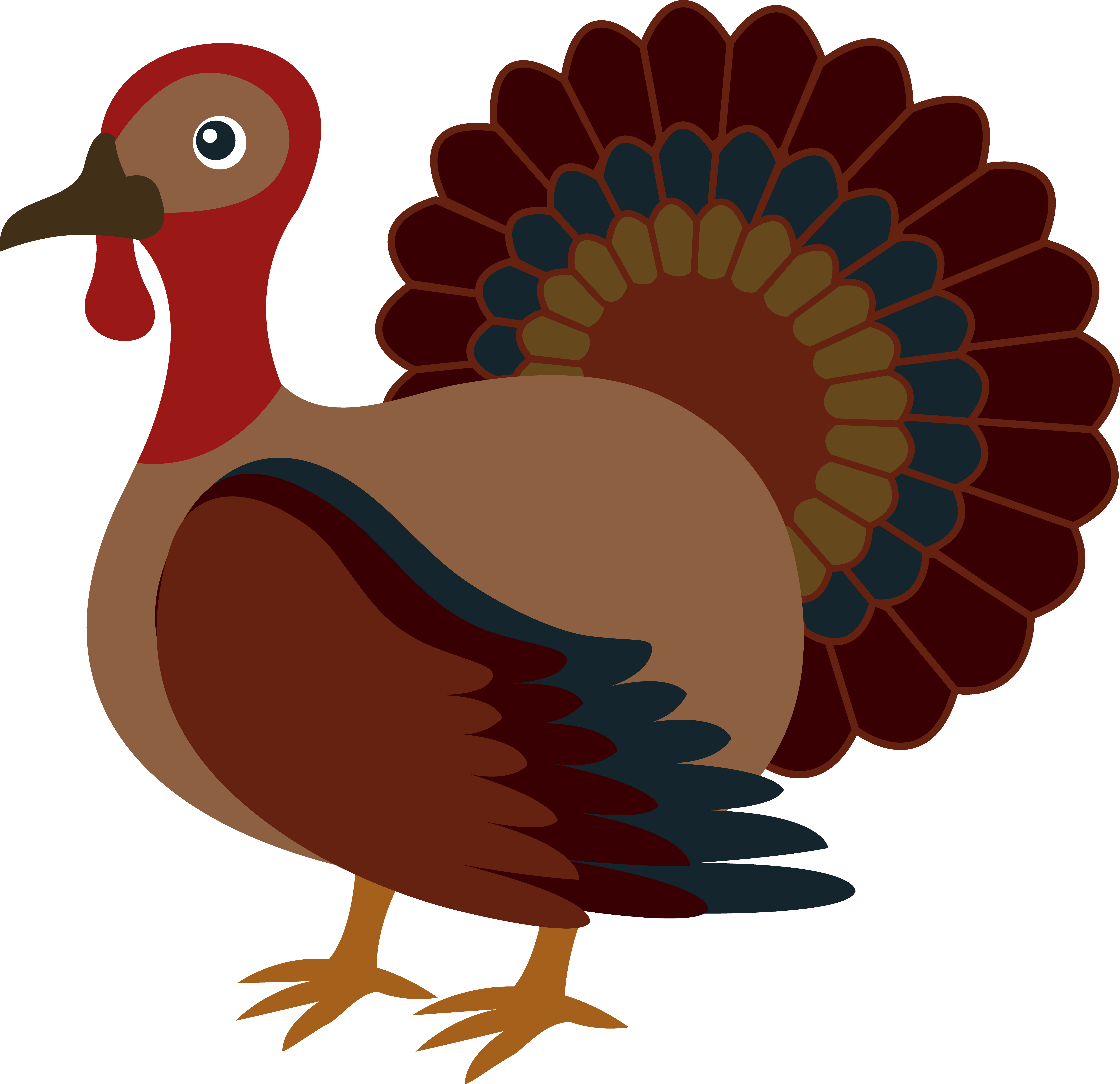Thanksgiving turkey facts free. Turkeys clipart profile