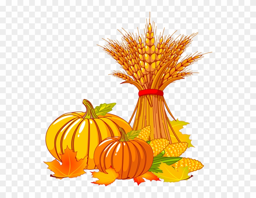 clipart thanksgiving clear background