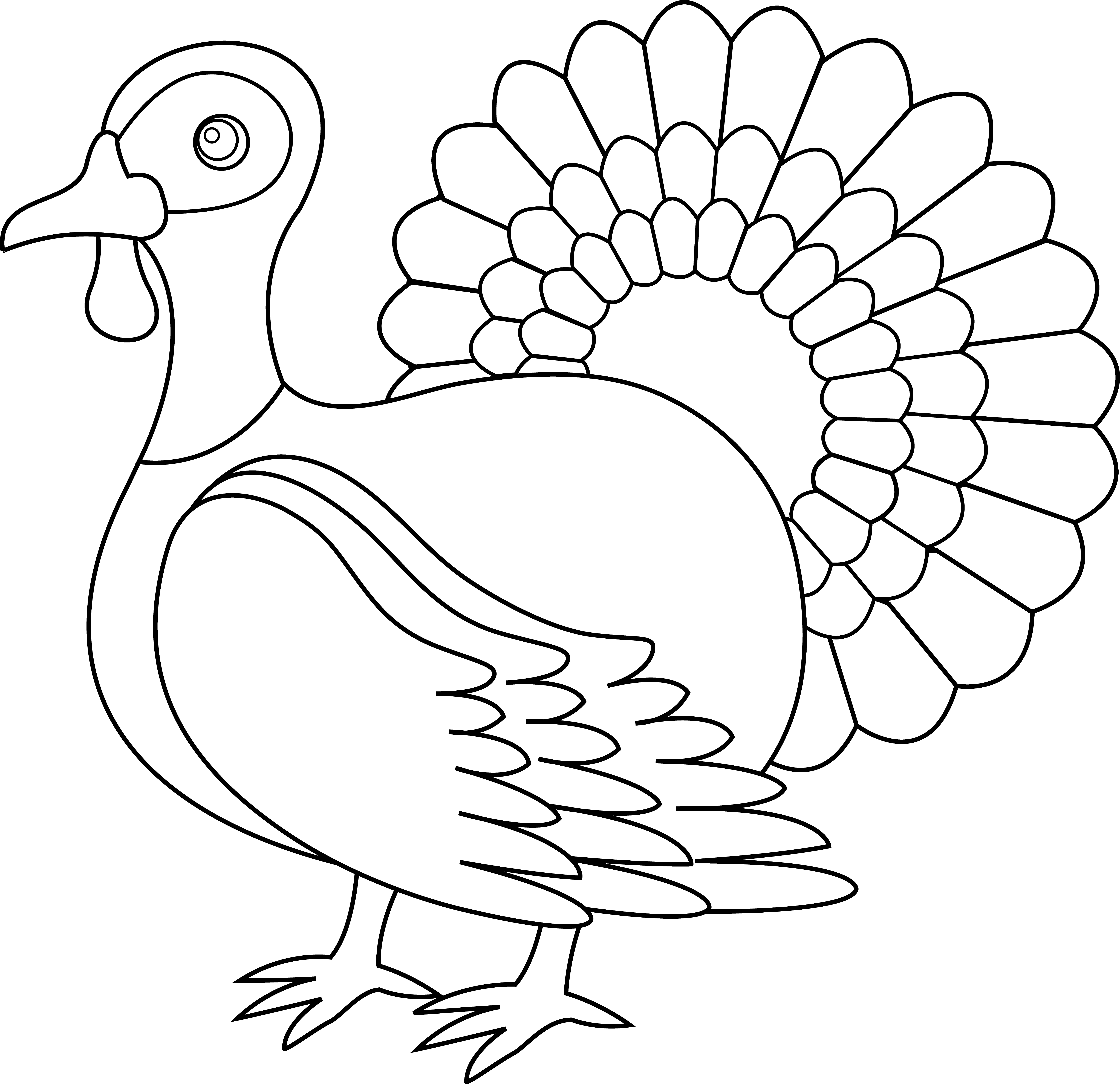 clipart turkey bird turkey