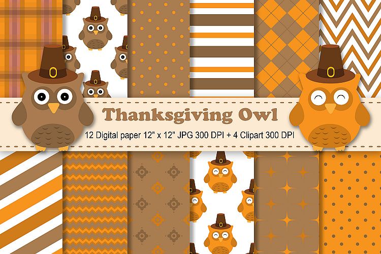 Digital paper owls background. Clipart thanksgiving pattern