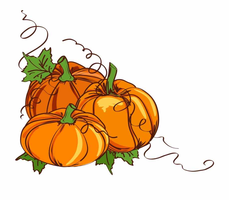 clipart thanksgiving pumpkin