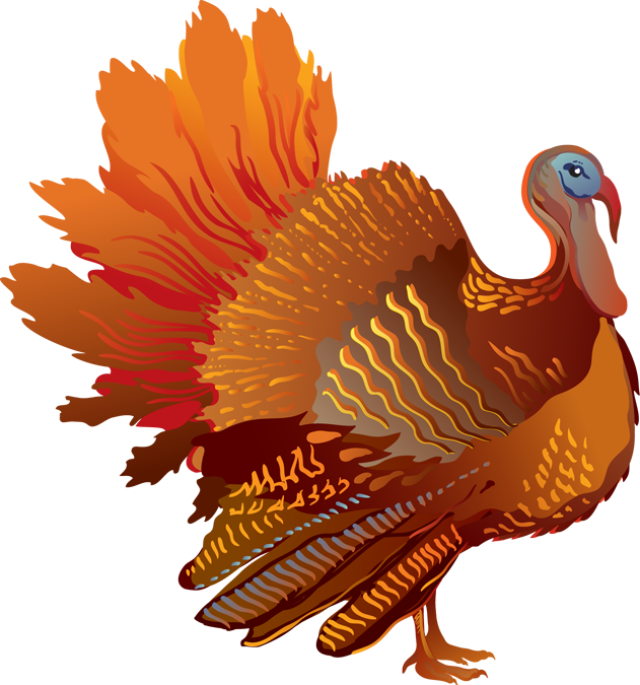 Turkey symbol