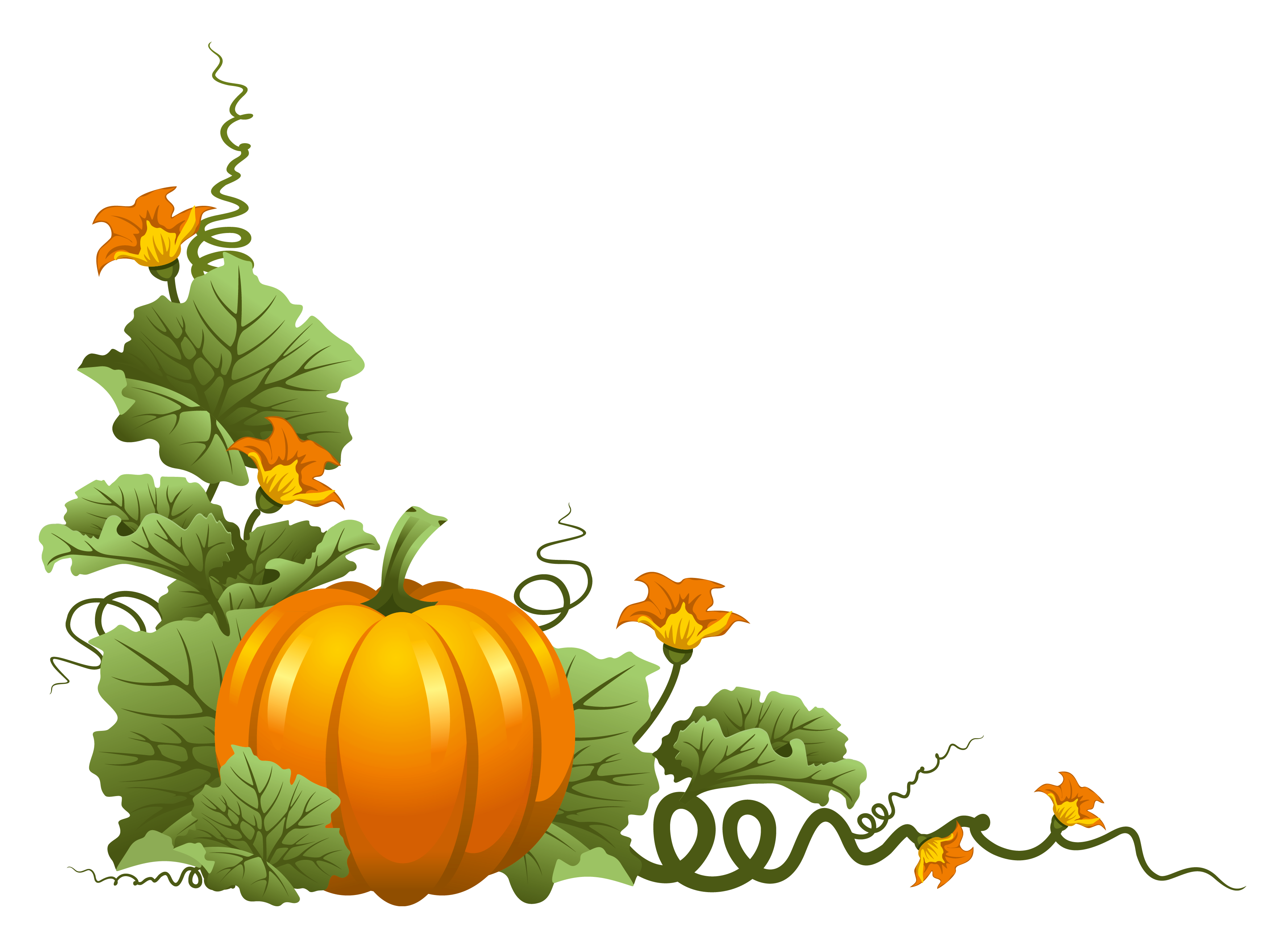 Thanksgiving Living Room Backgrounds Transparent Png