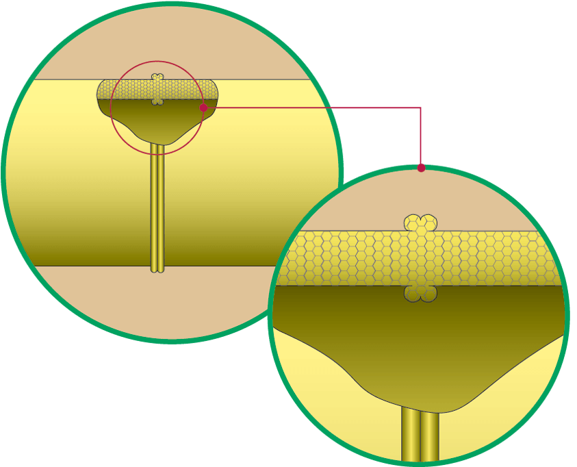 Clipart thermometer dependent variable. What is fusion the