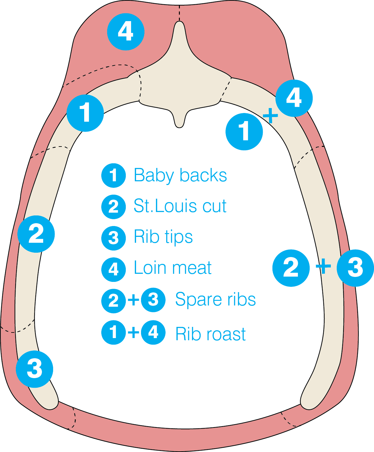 meat clipart spare rib