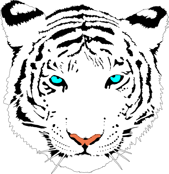 Clip art at clker. White clipart bengal tiger