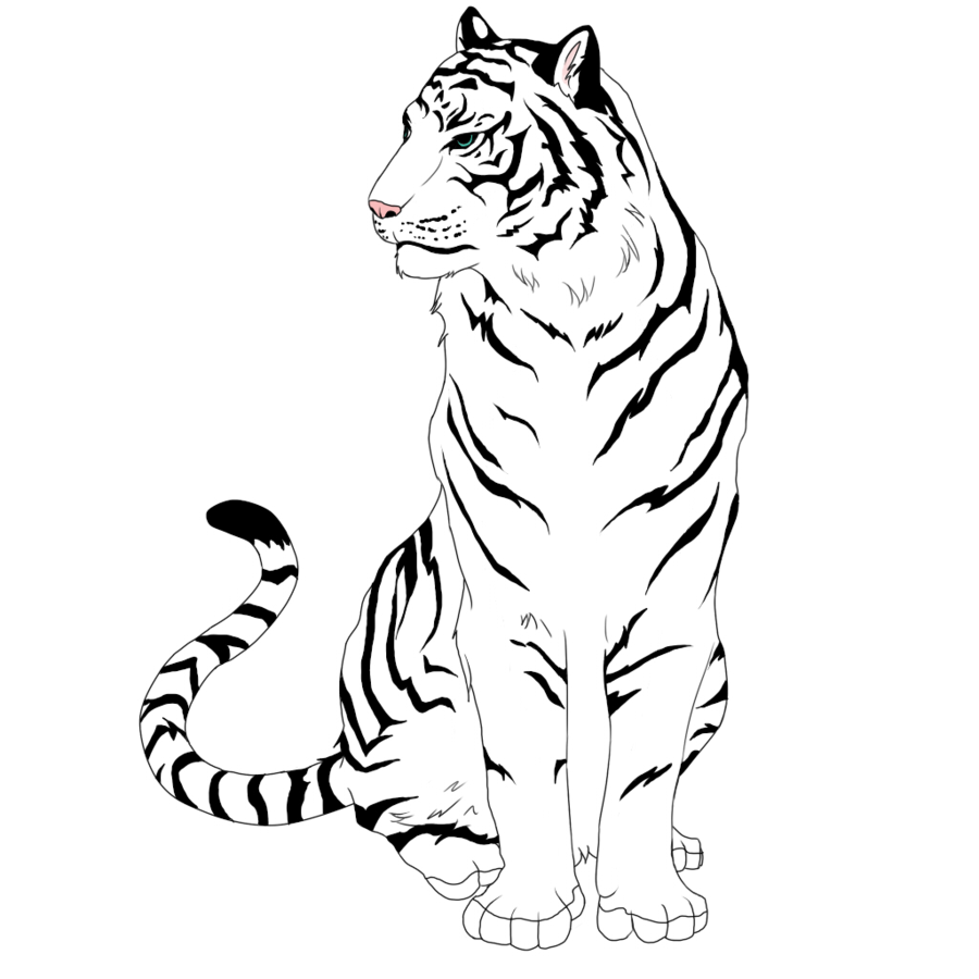 clipart tiger drawn